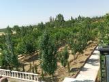 یک هتکار و 110 متر مربع باغ در کرج ( نظر آباد )